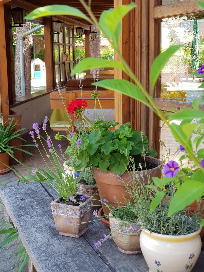 Bed and breakfast Sommer Panzió